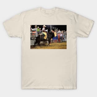 Just Havin' A Lil Fun T-Shirt